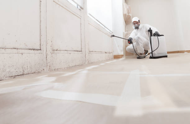 24/7 Emergency Mold Remediation experts in Argyle, TX