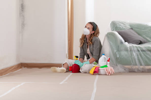 Reliable Mold Remediation contractor in Argyle, TX by Car Mold Remediation