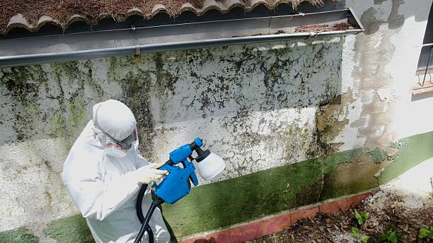Top rated local Mold Remediation specialists in Argyle, TX